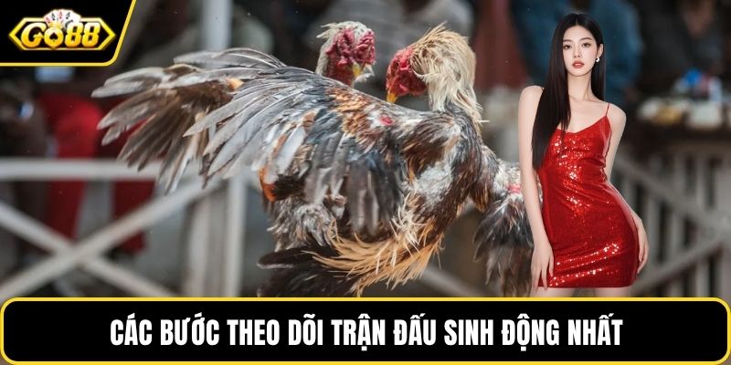 Các bước theo dõi trận đấu sinh động nhất