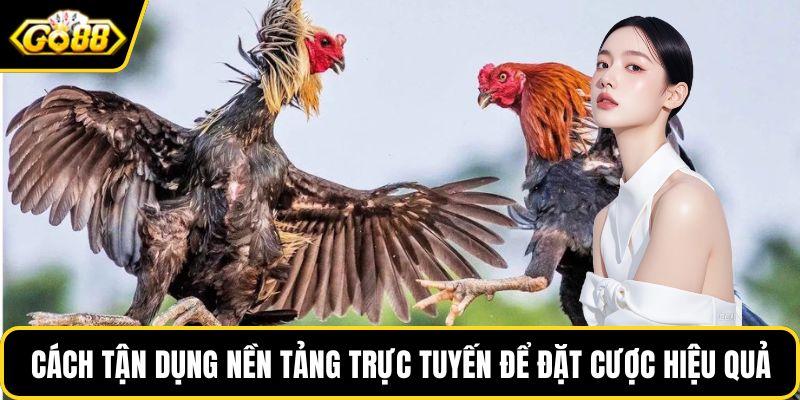 Cách tận dụng nền tảng trực tuyến để đặt cược hiệu quả