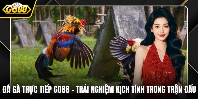 Đá gà trực tiếp