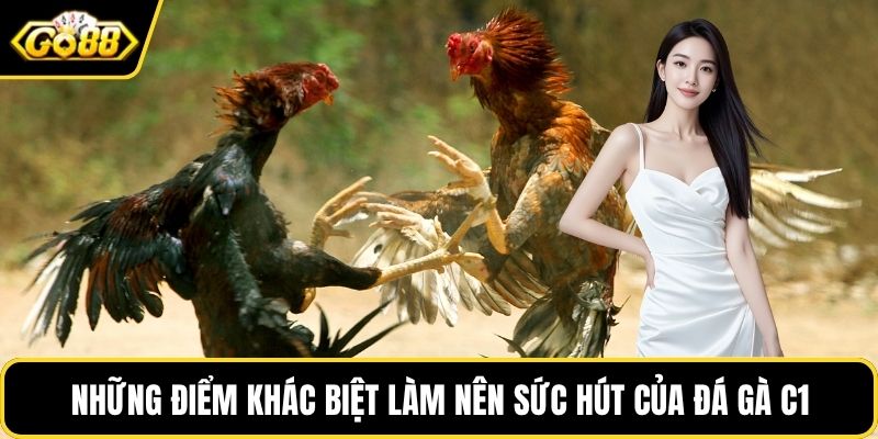 Những điểm khác biệt làm nên sức hút của đá gà C1