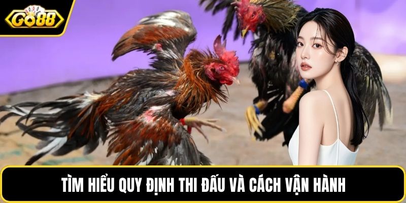 Tìm hiểu quy định thi đấu và cách vận hành