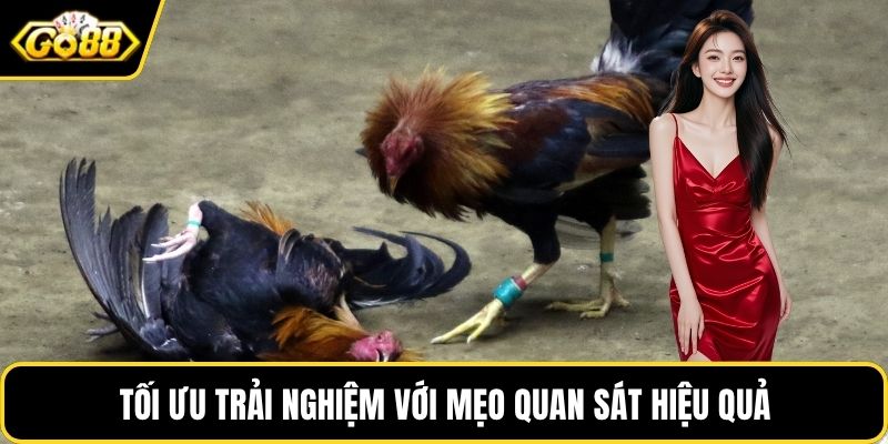 Tối ưu trải nghiệm với mẹo quan sát hiệu quả